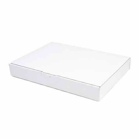 Maxibriefkarton MB5 - 350 x 250 x 50 mm Weiss