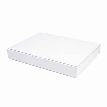 Maxibriefkarton MB5 - 350 x 250 x 50 mm Weiss