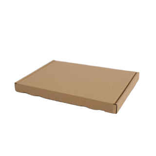 300 Stück 230x160x20mm Großbrief (1-wellig) Karton Faltkarton Versandkartons Versandschachtel Schachtel Verpackungen Versand