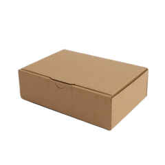 300 Stück 160x110x50mm Maxibrief (1-wellig) Karton...