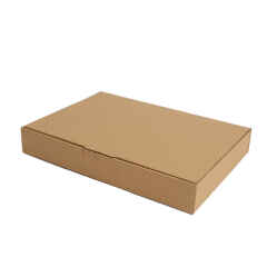 50 Stück 320x225x48mm Maxibrief (1-wellig) Karton...